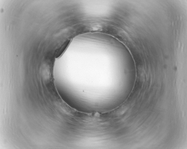 X0000088851442200706221648