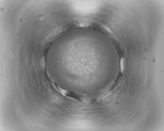 X0000088851443200706221648