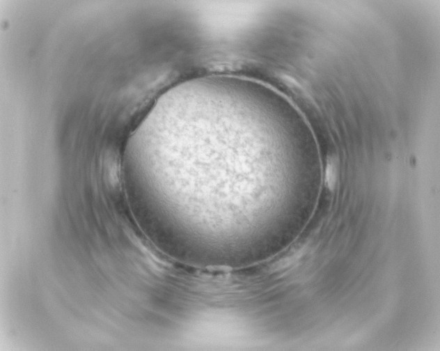 X0000088851444200706221648