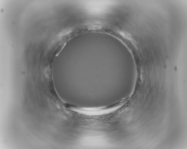 X0000088851445200706221648