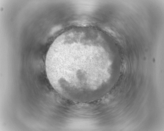 X0000088851446200706221648