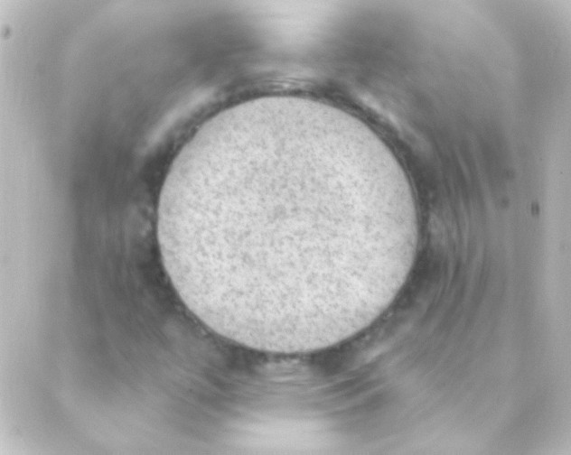 X0000088851447200706221648