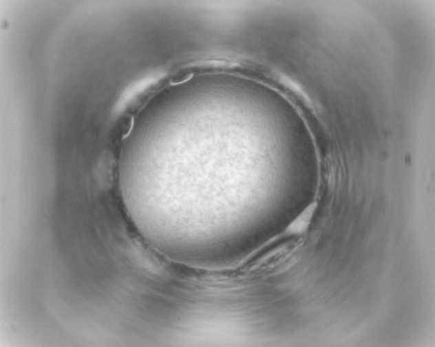 X0000088851448200706221648