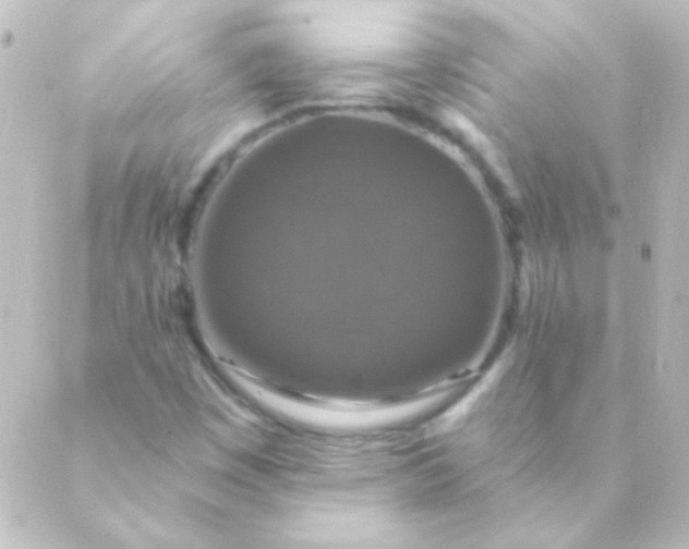 X0000088851449200706221648