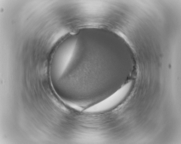 X0000088851450200706221648