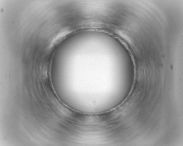 X0000088851451200706221648