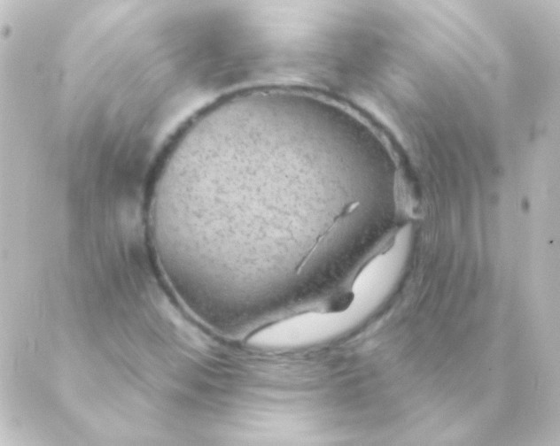 X0000088851452200706221648