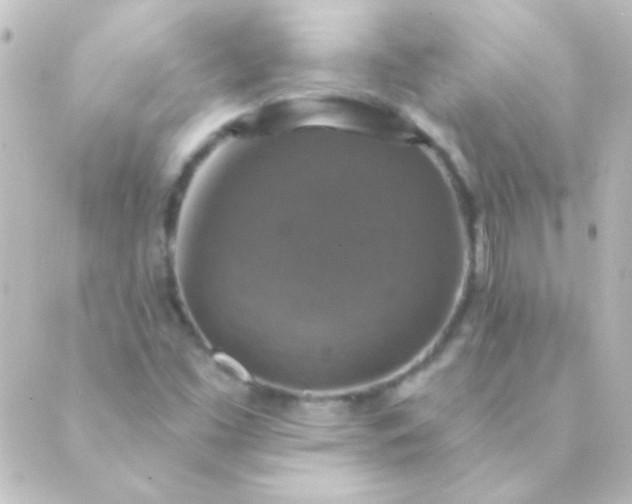 X0000088851453200706221648