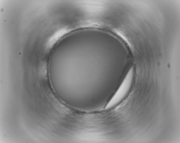 X0000088851455200706221648