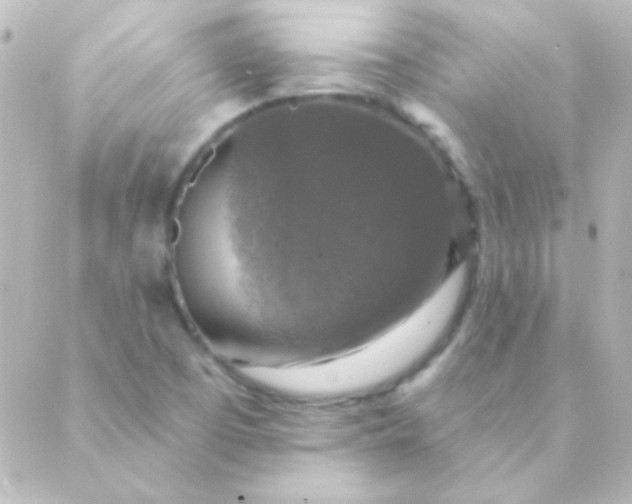 X0000088851457200706221648