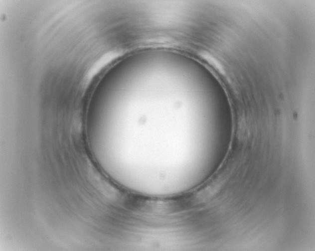 X0000088851458200706221648