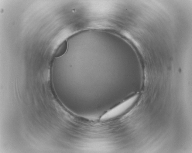 X0000088851459200706221648