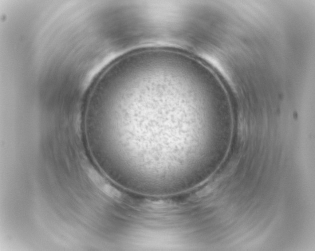 X0000088851460200706221648