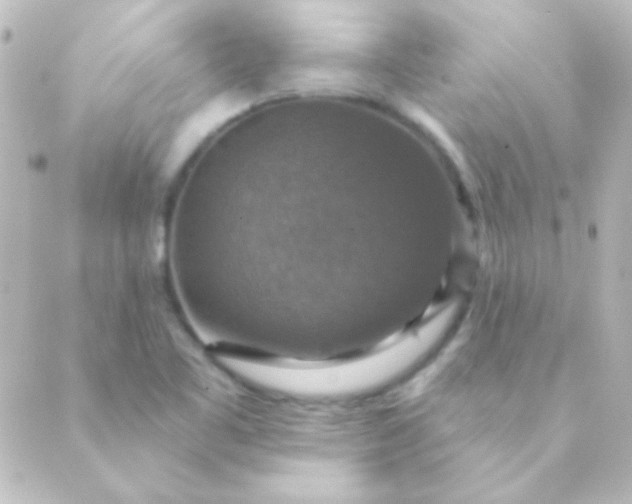 X0000088851461200706221648