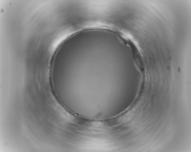 X0000088851463200706221648