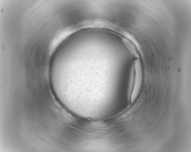 X0000088851464200706221648