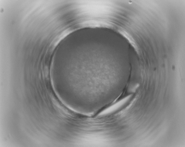 X0000088851465200706221648