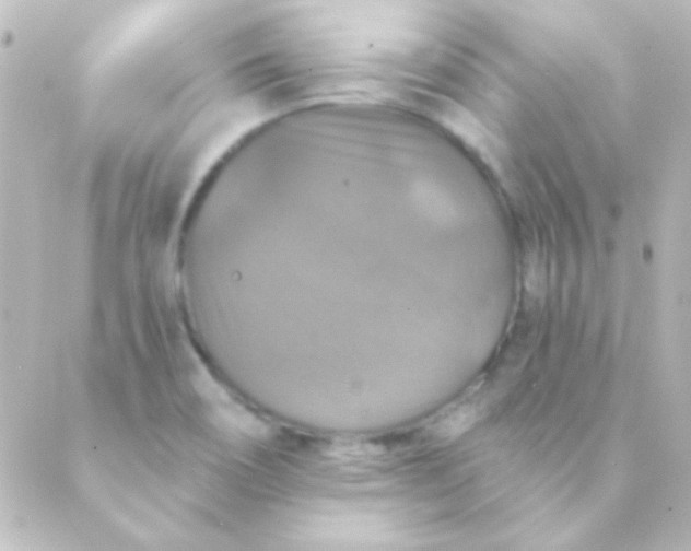 X0000088851466200706221648