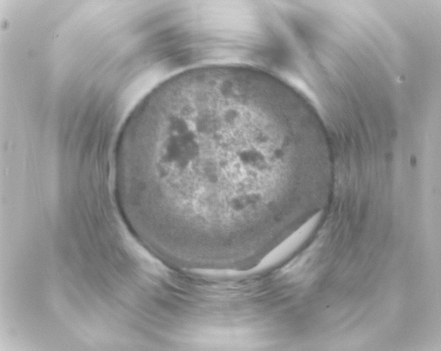 X0000088851467200706221648