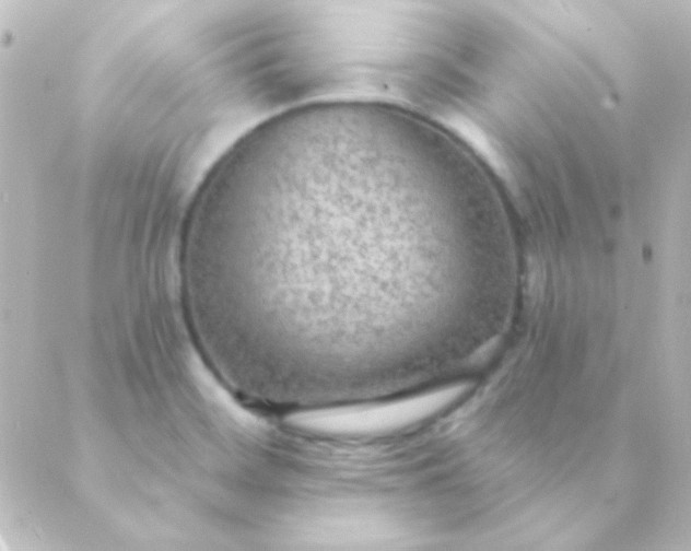 X0000088851468200706221648