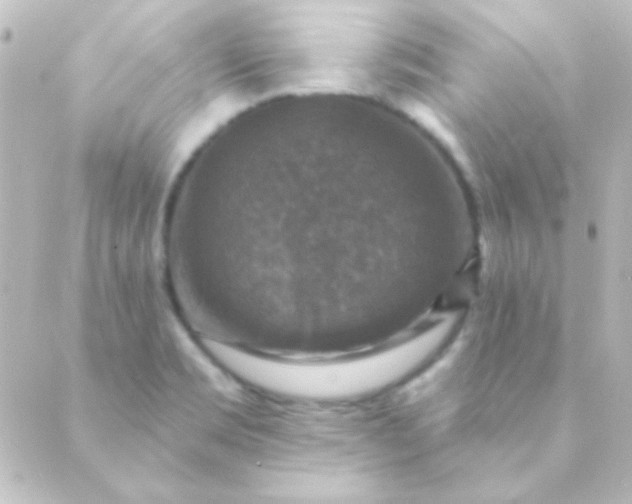 X0000088851469200706221648