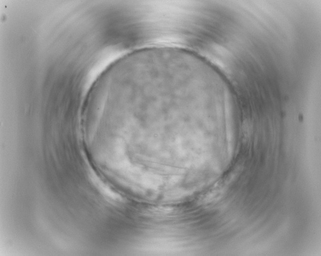 X0000088851470200706221648