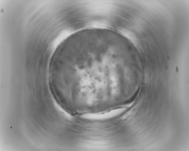 X0000088851471200706221648