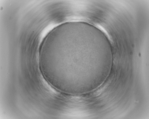 X0000088851472200706221648