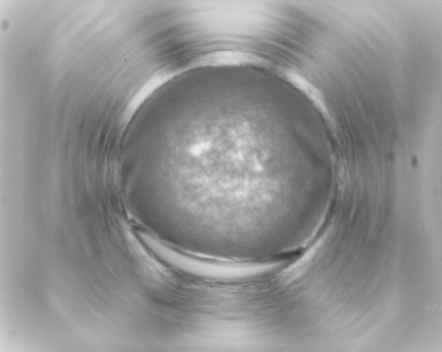 X0000088851473200706221648