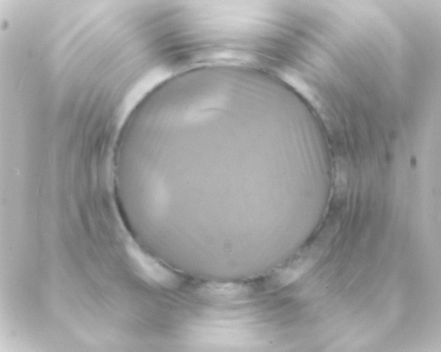 X0000088851474200706221648