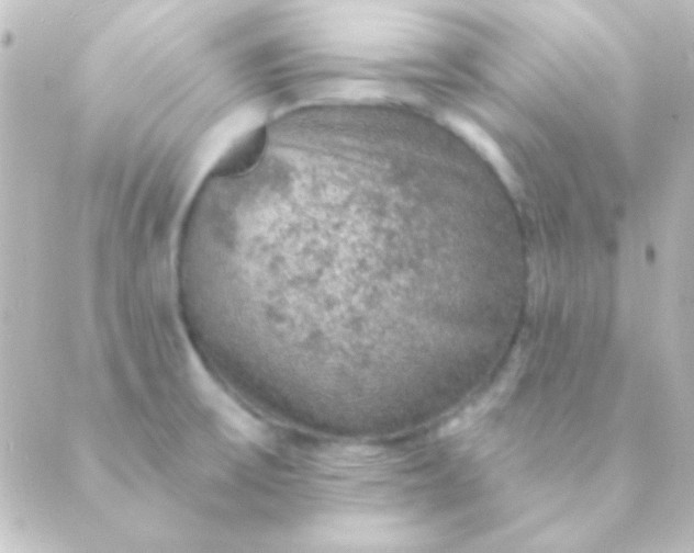 X0000088851475200706221648