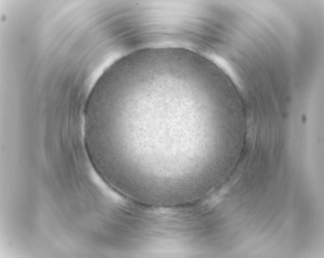 X0000088851476200706221648