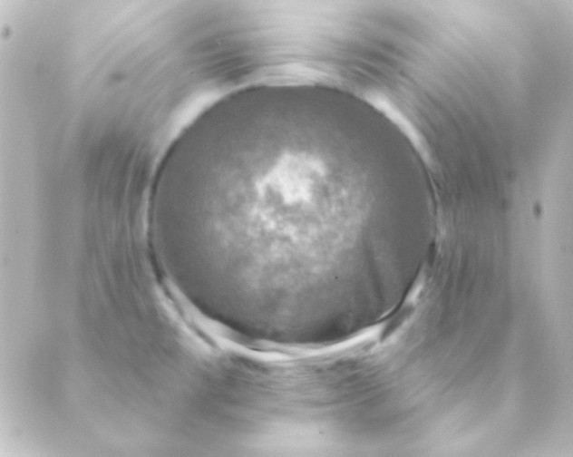 X0000088851477200706221648