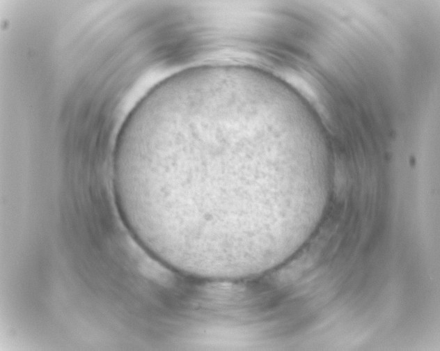 X0000088851478200706221648