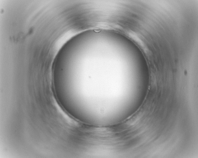 X0000088851479200706221648