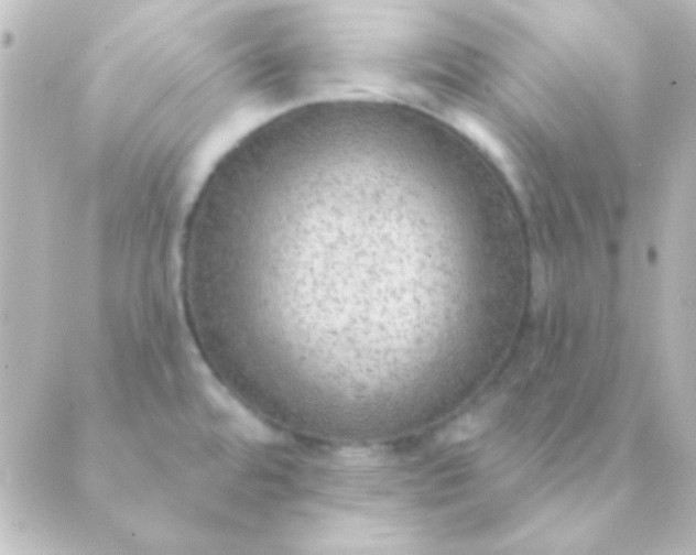 X0000088851480200706221648