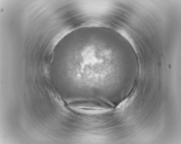 X0000088851481200706221648