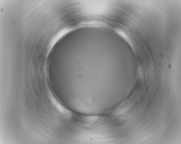 X0000088851482200706221648