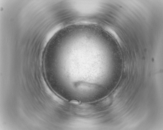 X0000088851483200706221648