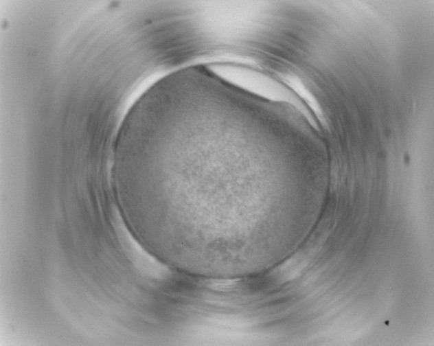 X0000088851484200706221648