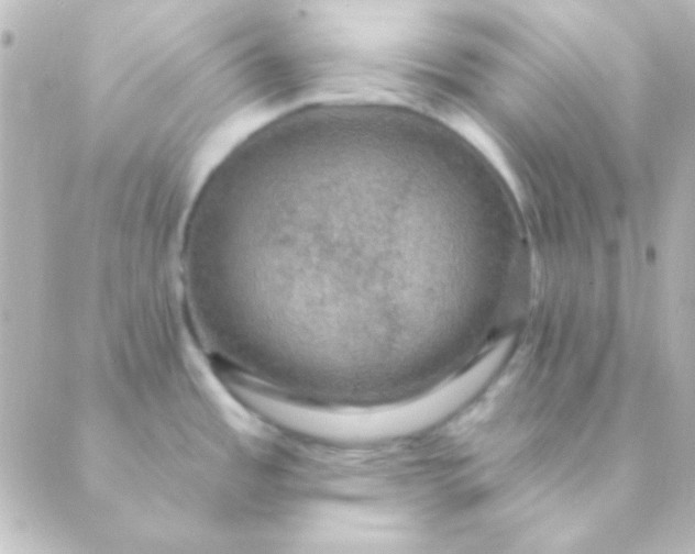 X0000088851485200706221648