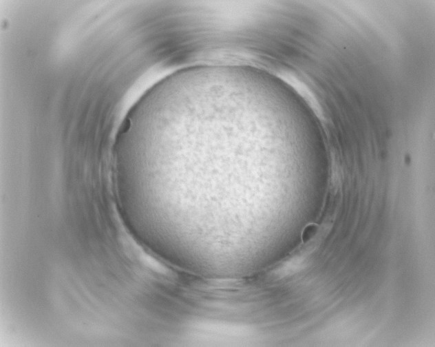 X0000088851486200706221648