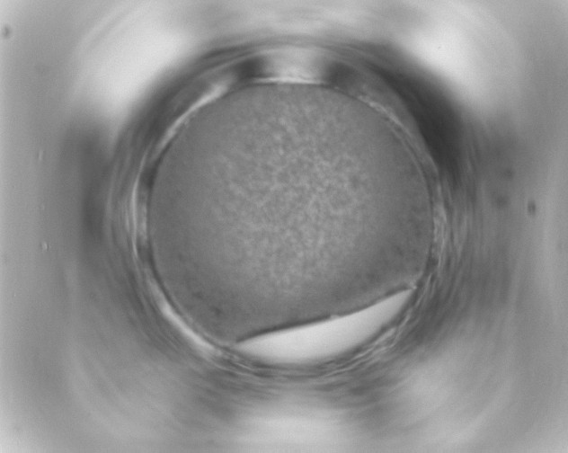 X0000088851487200706221648