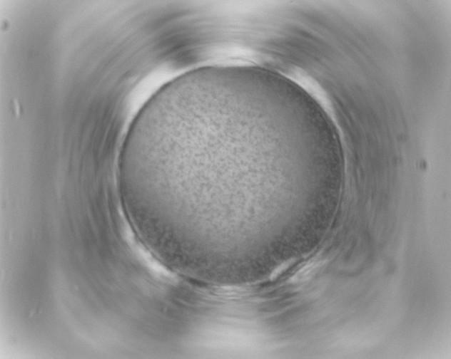 X0000088851488200706221648