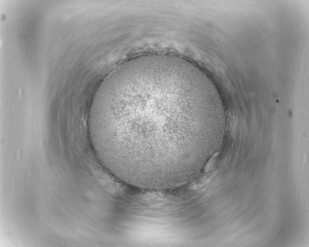 X0000088851489200706221647