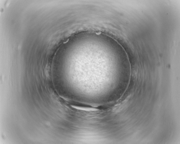 X0000088851490200706221647