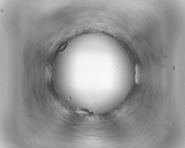 X0000088851491200706221647