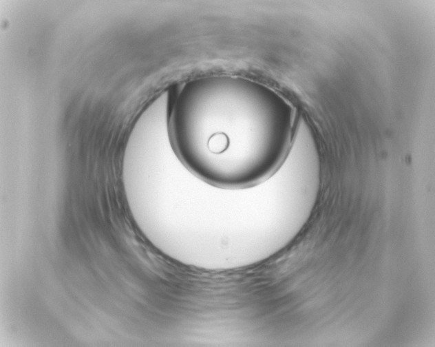 X0000088851492200706221647