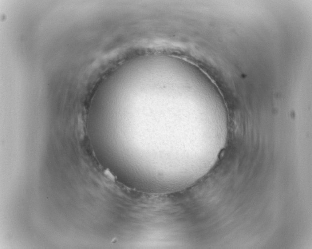 X0000088851493200706221647