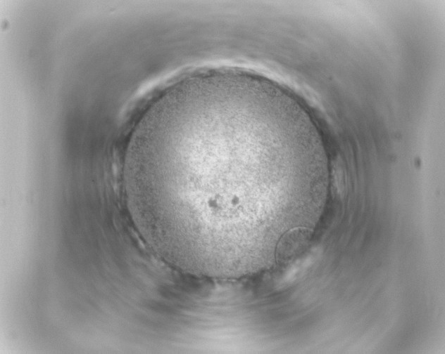 X0000088851494200706221647